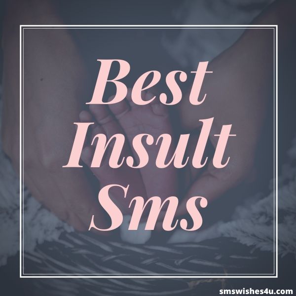 Best Insult Sms